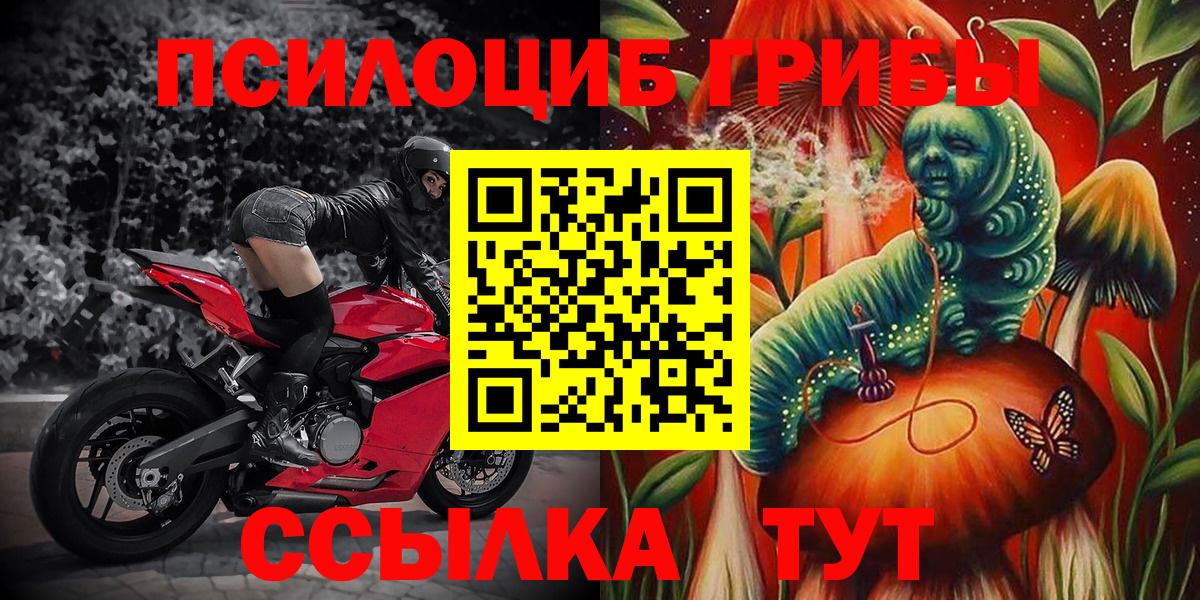Нурлат  Галлюциногенные грибы GOLDEN TEACHER  Вход с VPN 